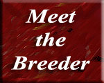Meet the Breeter